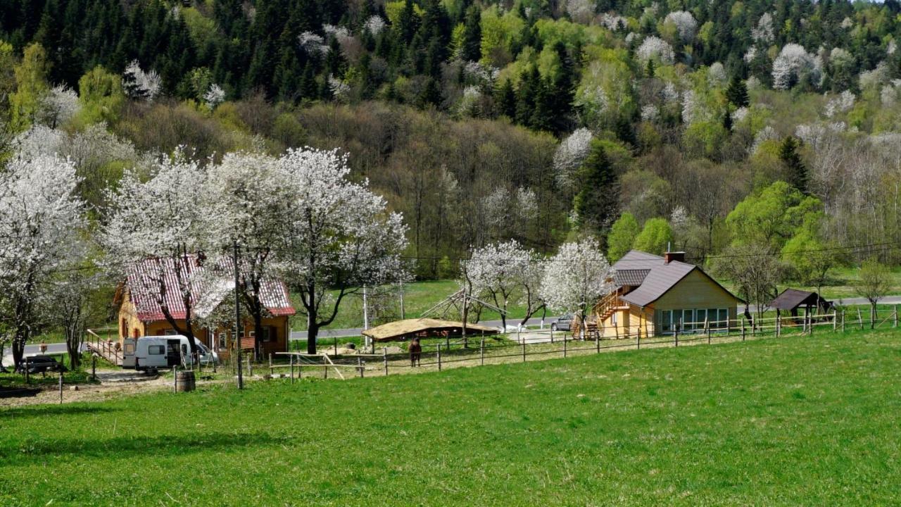 Bieszczadzki Dom Apartamento Ropienka Exterior foto